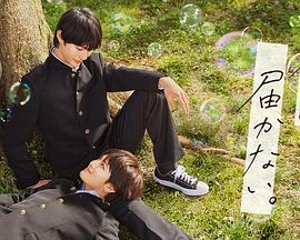 动态网站建设网站优化设计